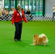 HTM training classes Surrey