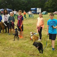 HDDTC Haslemere District Dog Training Club dog puppy training classes dog Kennel Club Good Citizens agility rally heelwork to music Haslemere Grayshott Surrey Hampshire Kennel Club registered