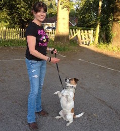 hddtc agility training